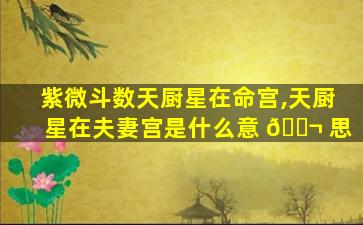 紫微斗数天厨星在命宫,天厨星在夫妻宫是什么意 🐬 思